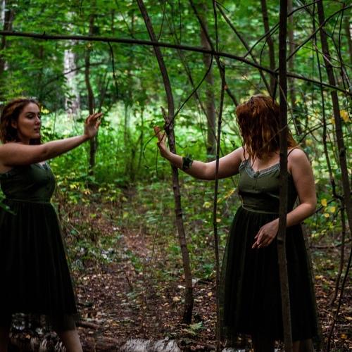 Photo #2554575