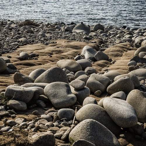 Eggs on the beach