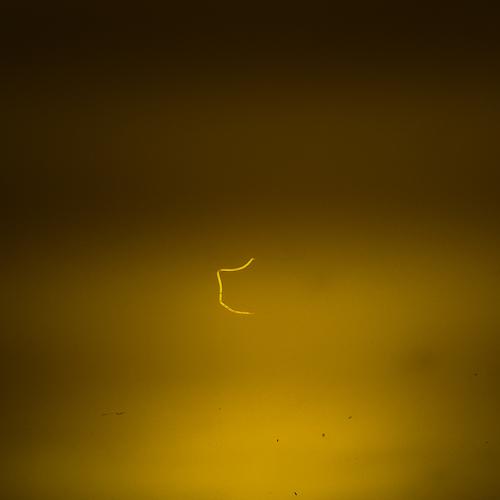 Photo #2555135