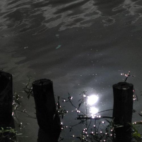 Reflect of sky