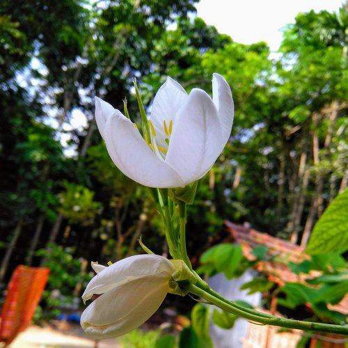 Photo #2555421