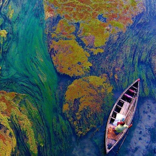 Mossy River