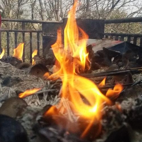Photo #2555565