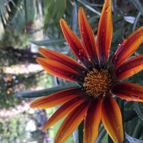 Beauty of nature