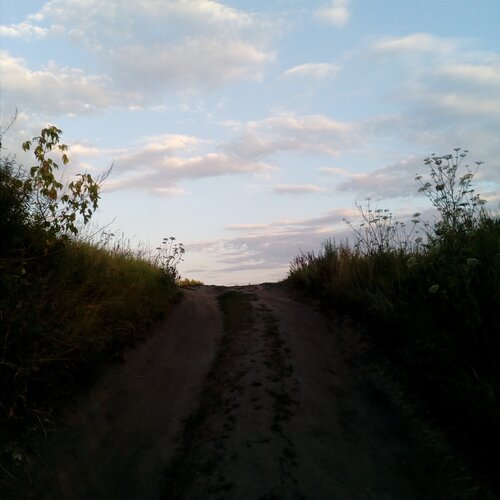 Нежность