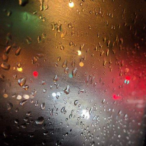 Photo #2556216
