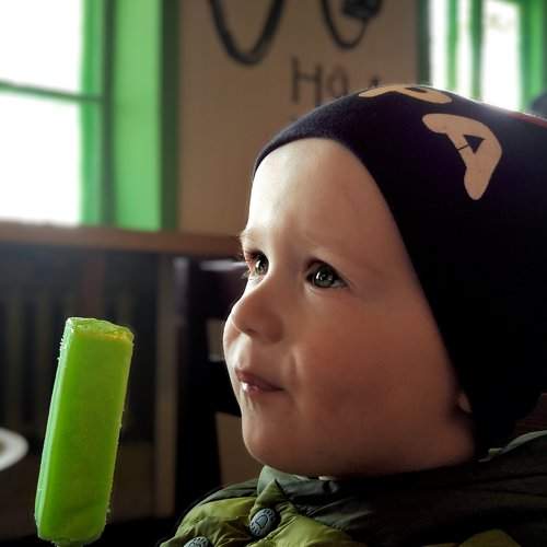 Photo #2556324