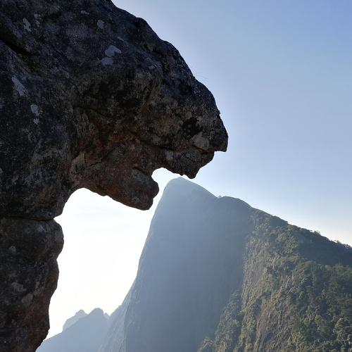 Singappara, kulukkumala, Munnar, Kerala
