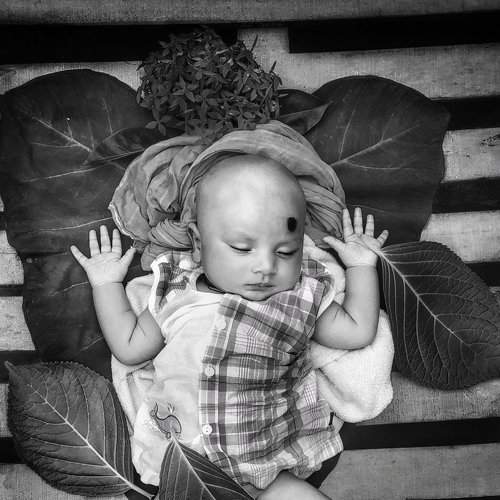 Starting Life