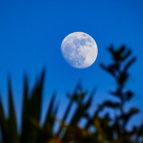 Luna tras las montañas