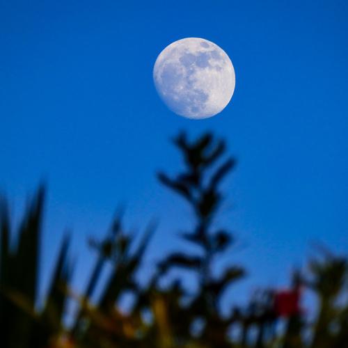 Luna y paisaje