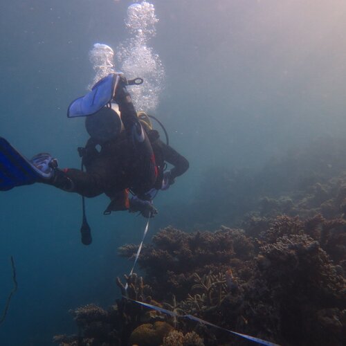 divers always wet
