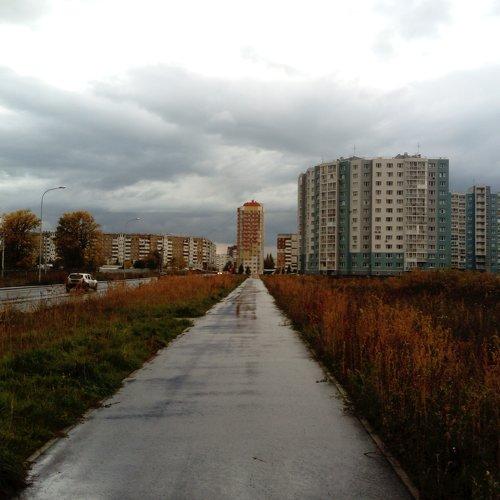 Photo #2557250