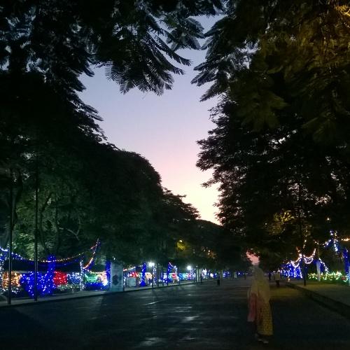 Dawn