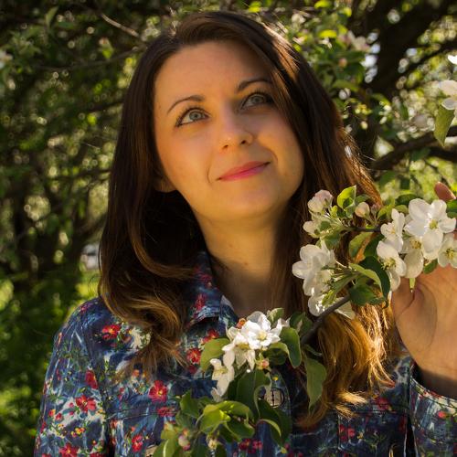 Photo #2561307