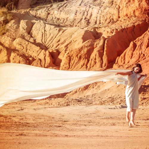 Wind in the Desert
