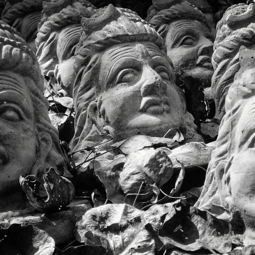 Faces