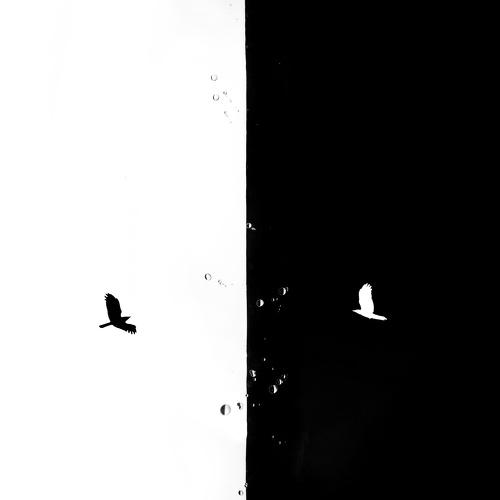 Line between lifes