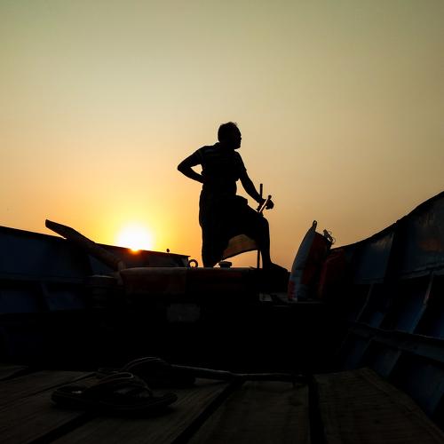 Anchor of life