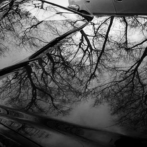 Photo #2563470