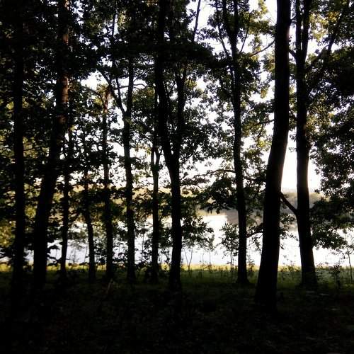 Photo #2564804