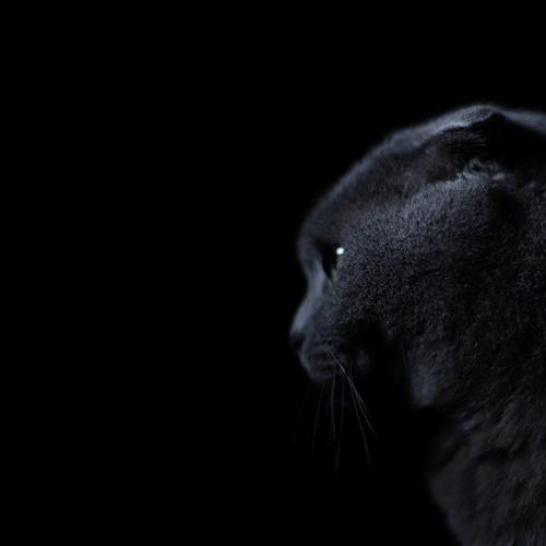 Hunter