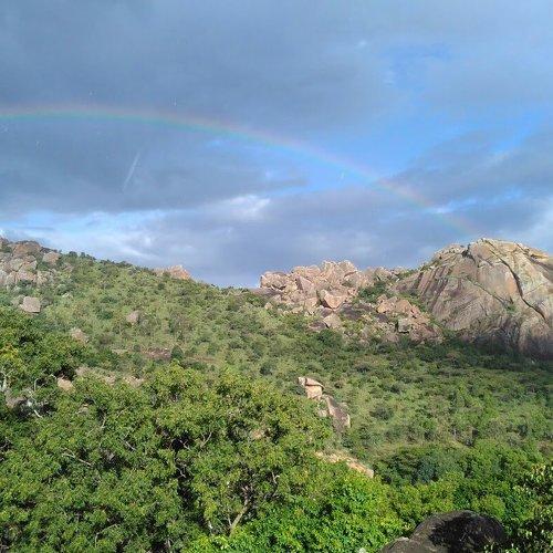 Nature