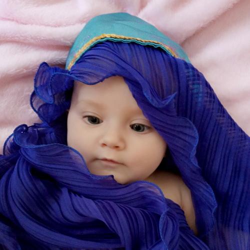 Photo #2566426