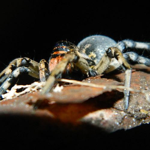 Photo #2569258