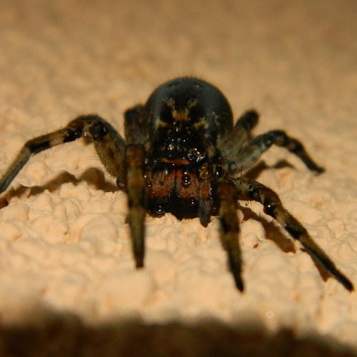 Photo #2569267