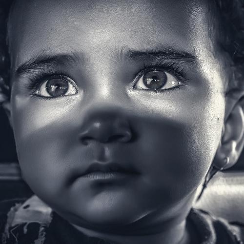 Photo #2570032