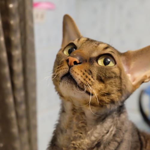 Photo #2570689