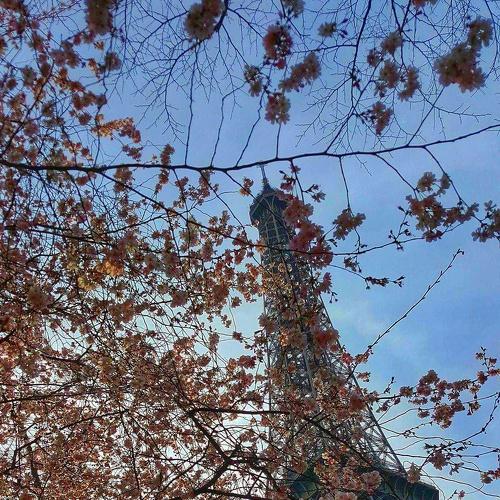 a spring of Eiffel