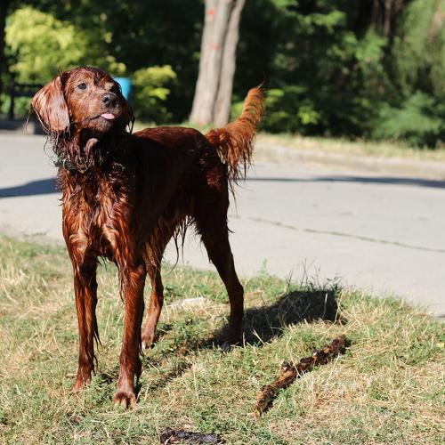 Photo #2571190