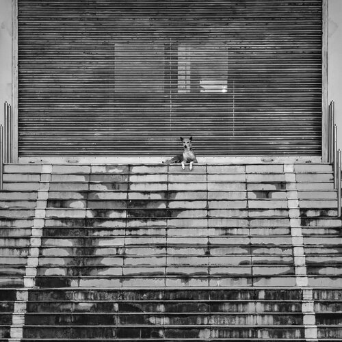 The Watchman