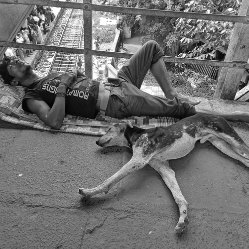 Sleeping with pet