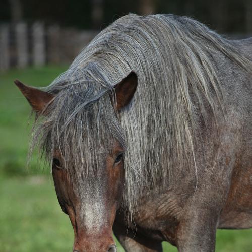 Photo #2573609