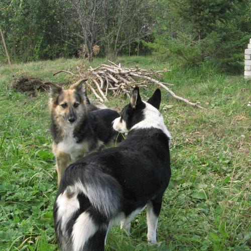 Серьезный разговор