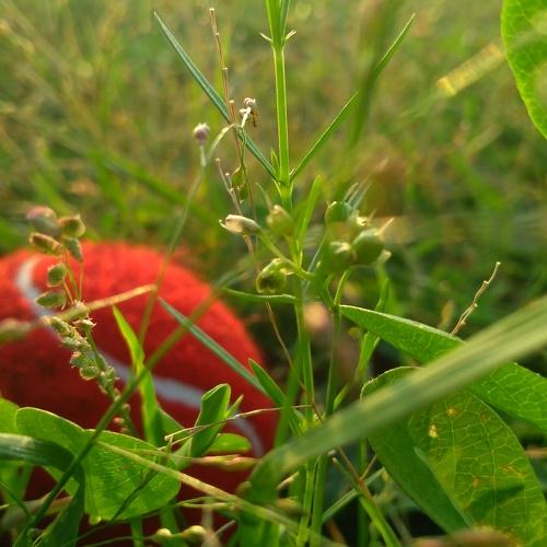 Photo #2576174