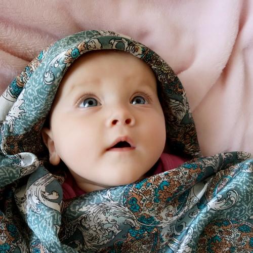 Photo #2577039