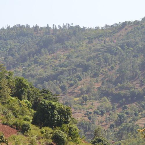 Valley