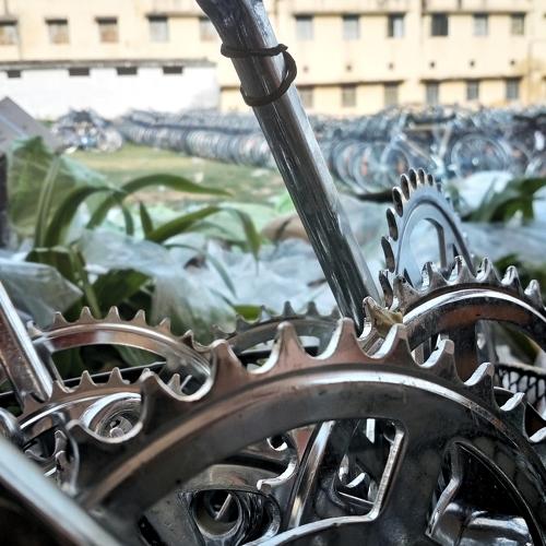 Cycle Workshop