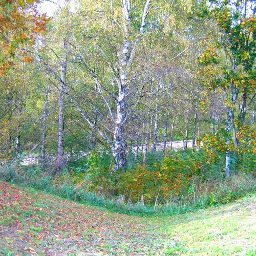 Земная полусфера!