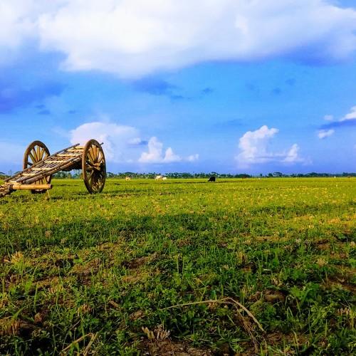 Beauty of Bangladesh