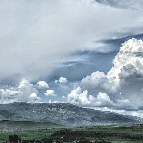 Photo #2581447