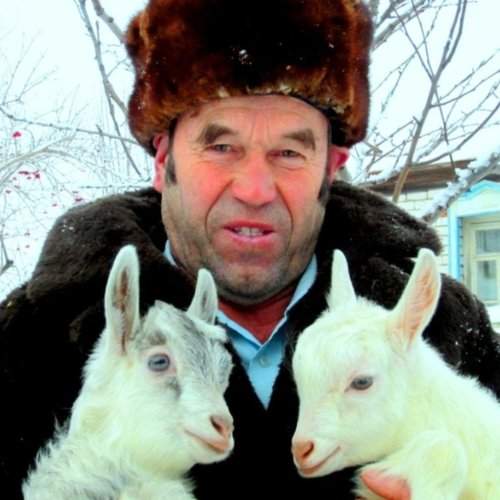 СЕЛЬСКАЯ РАДОСТЬ