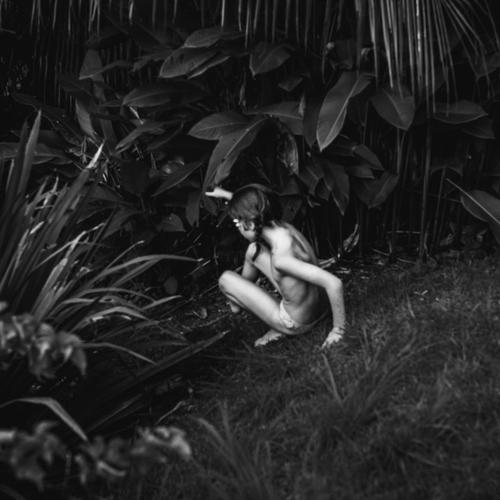 Slide between bushes