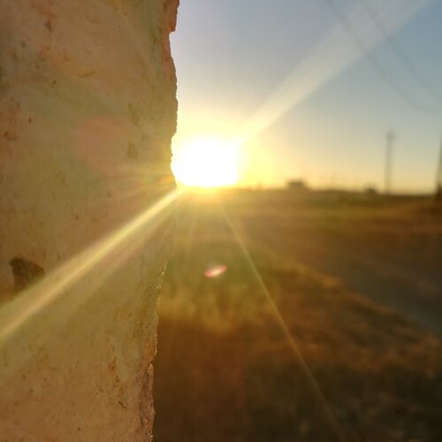 Photo #2582587