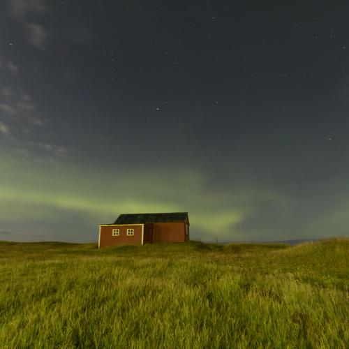 Green Dust