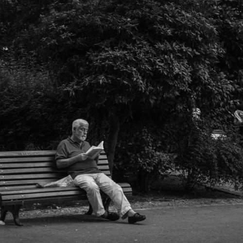 The Reader